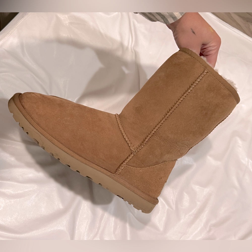 short uggs chestnut